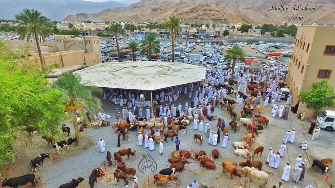 Omani العماني *